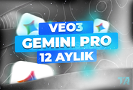 12 AY GEMİNİ PRO 3 & VEO 3.1 / GARANTİLİ 