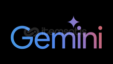 12 Aylık Gemini PRO ÜYELİK