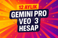 12 Aylık Gemini Pro + Veo3 Hesap