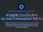 12 Aylık Google Veo 3 ve Gemini Pro Hesabı
