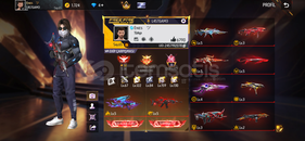 12 Evolu Full Free fire Hesap