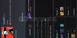 12 Lv 9 YILLIK STEAM HESAP