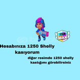 1250 SHELLY KASILIR