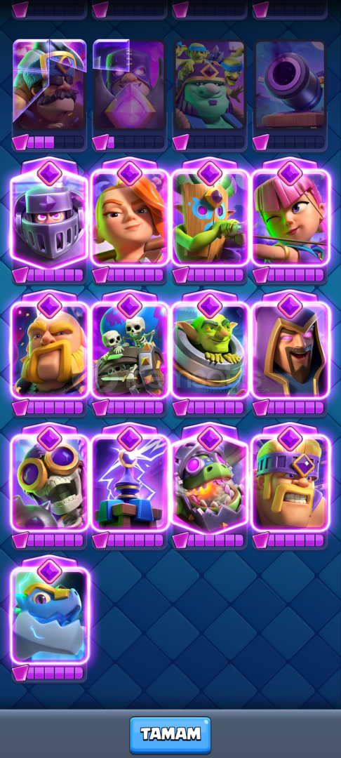 12k 13+1 evrim  12k 13+1 evrim