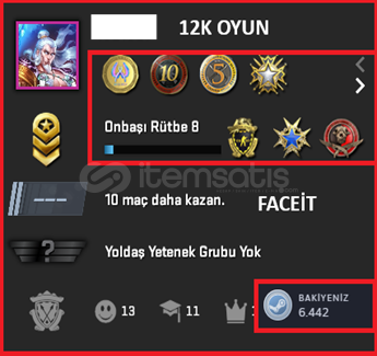 12K OYUN 7 MADALYA / 691 SAAT / PRİME / FACEİT 12K OYUN 7 MADALYA / 691 SAAT / PRİME / FACEİT