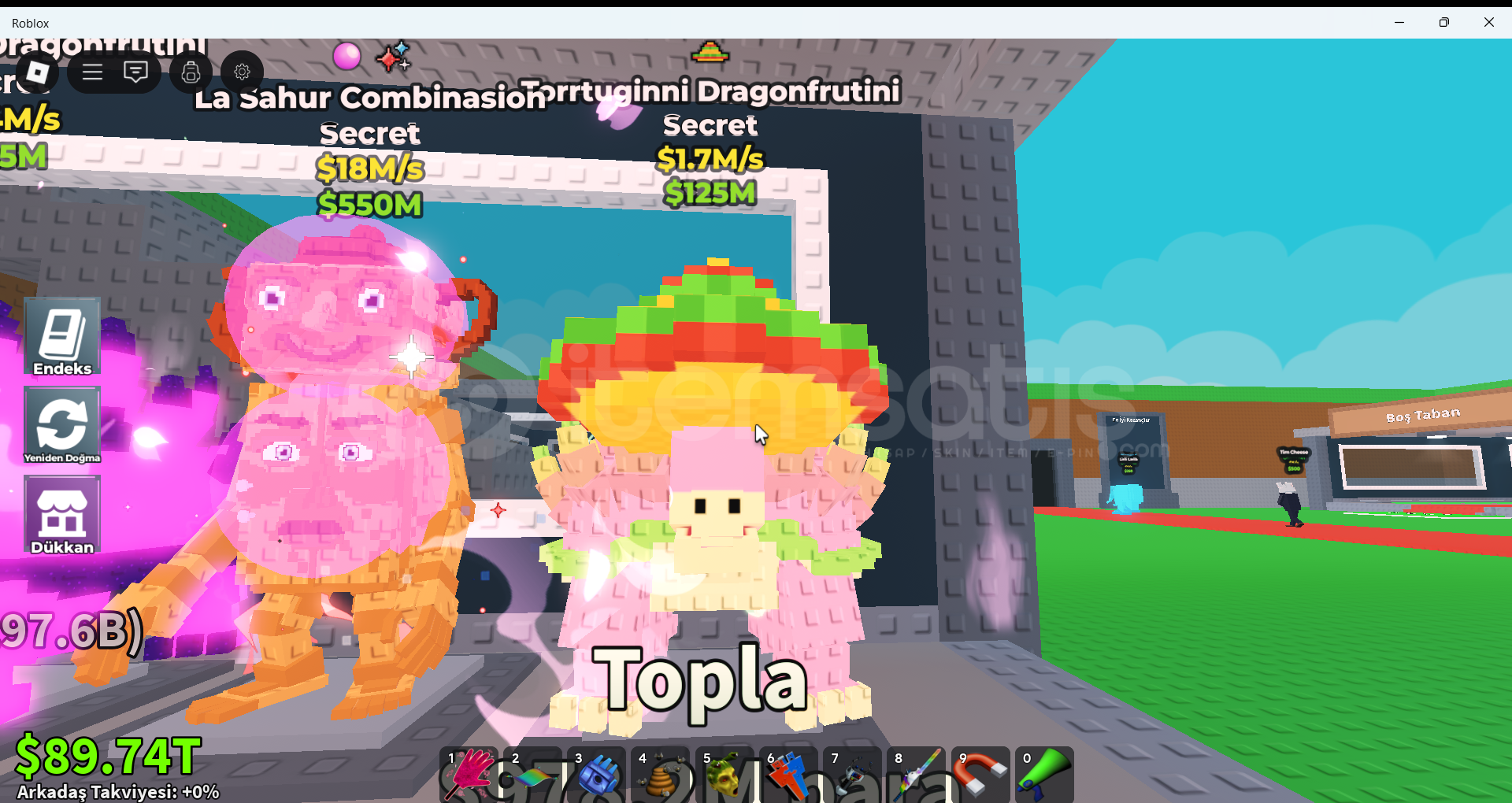 1.2M tortugini dragonfruttini 1.2M tortugini dragonfruttini