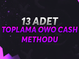 13 adet owo cash method