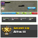 13 LVL Roi Ava Altın 3