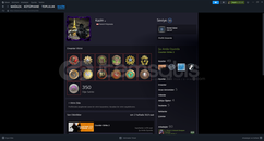 13 MADALYA 50 SEVİYE ACC UYGUN