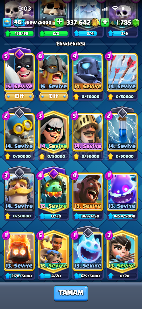 13000 KUPA 8 Yıllık Hesap | 1800 taş 48 level 13000 KUPA 8 Yıllık Hesap | 1800 taş 48 level