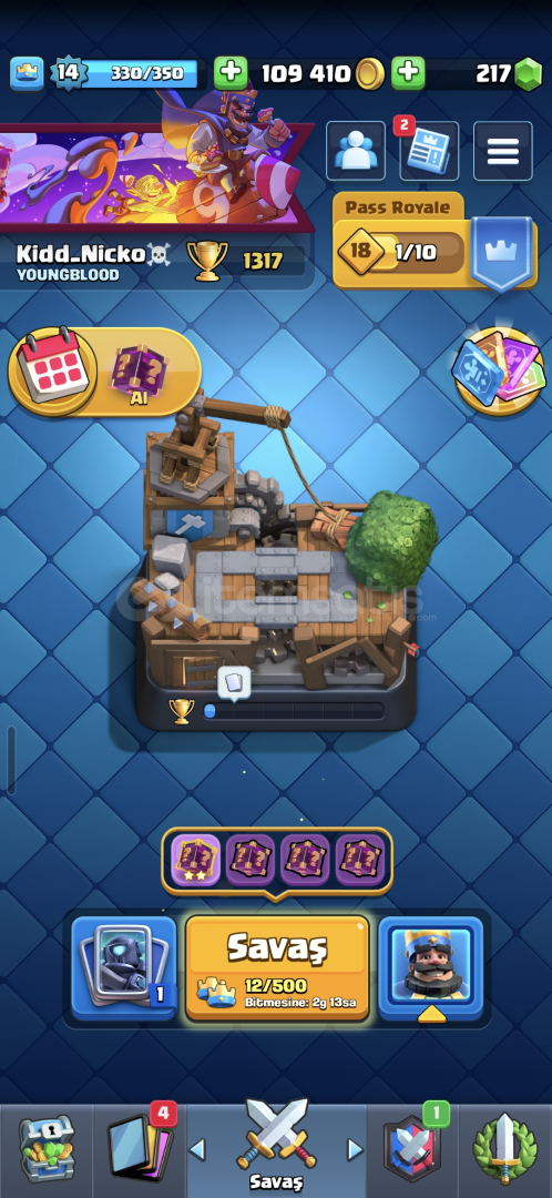 ⭐️ 1317 Kupa ⭐️ 30 Kart ⭐️ isim değişikliği ⭐️ ⭐️ 1317 Kupa ⭐️ 30 Kart ⭐️ isim değişikliği ⭐️