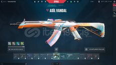 132 SEVİYE SAHİBİNDEN MAİLLİ HESAP