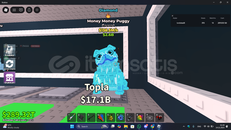 ⭐️ 136.5M/S MONEY MONEY PUGGY ⭐️