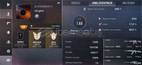 13k değerinde hesap ve 300 gold var hesapta