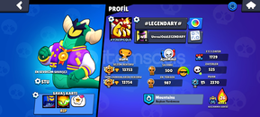 13k kupa colt ve stu mainler için ideal