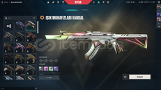 +13K VP-35 SKİN-296 SEVİYE-EFSANE BETA HESABI 