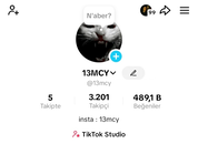 13mcy Tiktok Editör hesabı