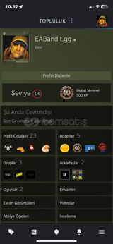 14 level steam hesabı ihtiyaçtan satılık