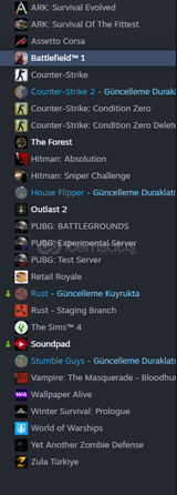 145 DOLAR DEĞERİNDE STEAM FIRSAT HESABI 