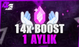 14X 1 AYLIK BOOST 