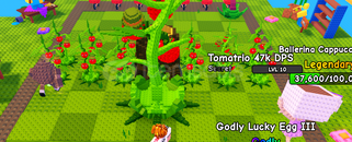 15 adet tomatrio bir adet büyük 5.7kilogram 15 adet tomatrio bir adet büyük 5.7kilogram