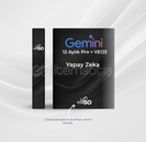 15 Ay Kişisel Gemini veo3 PRO