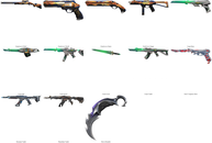 15 Skin, 10675 VP ENVANTER