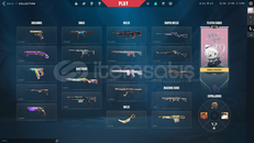 150 LVL FULL + FULL DOLU HESAP