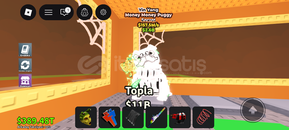 157M Ying Yang Money Puggy