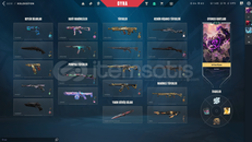 15bıç, 12vandal.Champions 24,25.VCT,ALAZ YELPZE