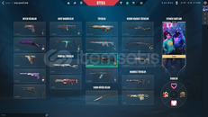 15K YATIRILMIŞ HER SİLAHINDA SKİN OLAN HESAP