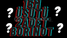 15M ÜSTÜ -2 ADET -BORİNOT- SAB- 15M ÜSTÜ -2 ADET -BORİNOT- SAB-