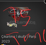 15x Çıkartma | skullz | Paris 2023