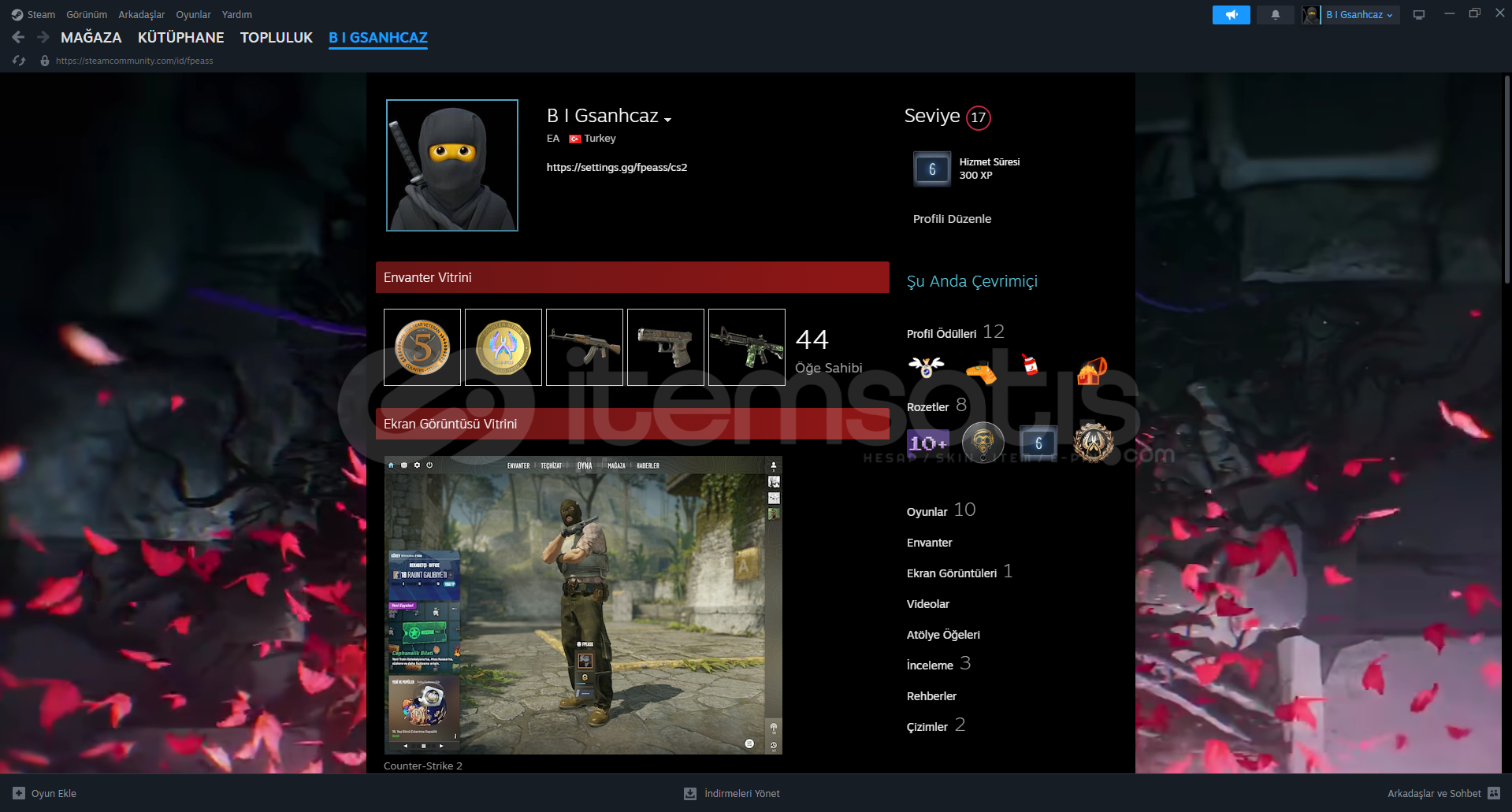 16 level steam hesap 16 level steam hesap