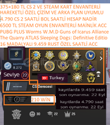 16 MADALYALI 9.459 RUST SAATLİ 4.790 CS 2 SAATL