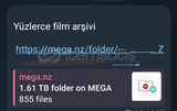 1.61 TB Film Arşivi ve yanında Oyun isoları.