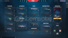 164 seviye yabancı server hesap dolu