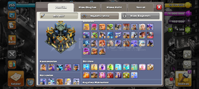 17 belediye ful max koy