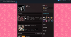 17 level steam hesabı