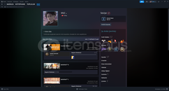 17 level steam hesap