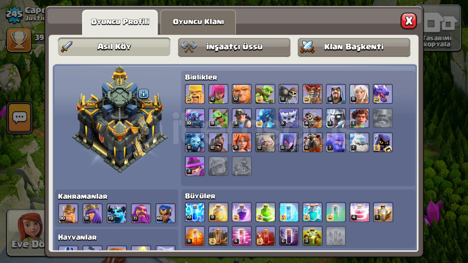 ⭐️17 Seviye BB.⭐️245 LvL ⭐️17 Seviye BB.⭐️245 LvL