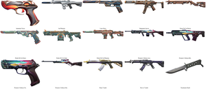 17 Skin, 11925 VP ENVANTER