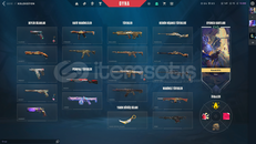 17 Vandal 10 Phantom 10 Bıçak Immortal 1 Hesap