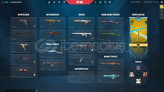 17 VANDALLI HESAP | IMMO 1