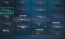 172 level platinium hesap