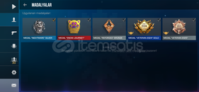 Klanlı 173 seviye mainlik hesap 