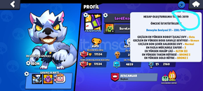 180TAŞ NADIR SKINLI HESAP