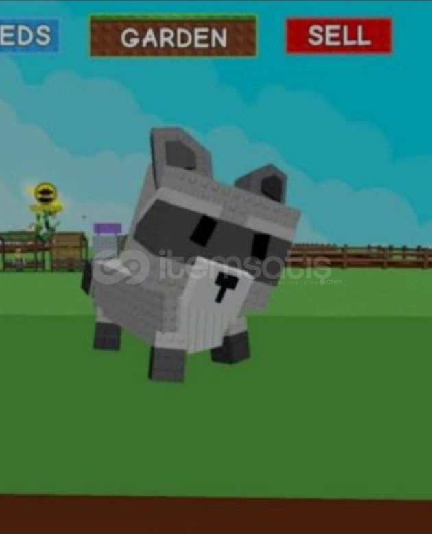18.69 Kg MEGA RACCOON Max age 18.69 Kg MEGA RACCOON Max age