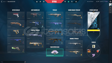 ⭐19 BIÇAK 12 VANDALLI DOPDOLU DİZİLMİŞ HESAP⭐