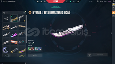 191 KAPLAMA 21 BIÇAK VALORANT HESABI